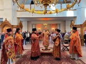 IMG_3930_1