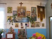 IMG_3981_resize