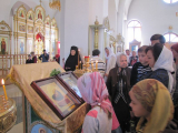 IMG_7585--11_1