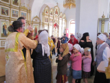 IMG_7597--11_1