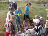 SAM_3757--29_1