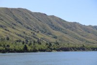 IMG_0885