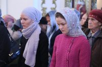 IMG_8221