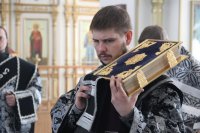 IMG_5447