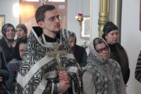 IMG_5541