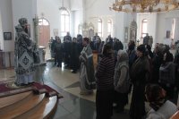 IMG_5551