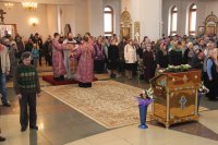 IMG_9350