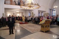 IMG_9587