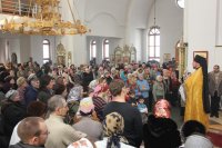 IMG_3649