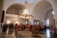 IMG_4695