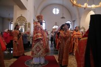 IMG_4701