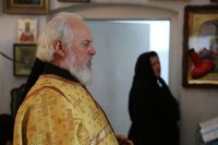 IMG_6282
