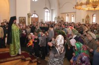 IMG_0934