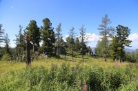 IMG_3958