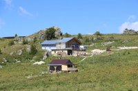IMG_4467