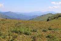 IMG_4497