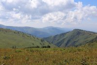 IMG_4528