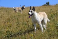 IMG_4540