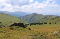 IMG_4555