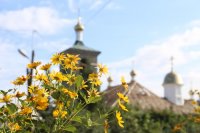 IMG_7651
