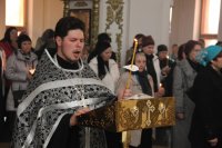 IMG_2592