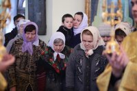 IMG_0738