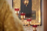 IMG_1279
