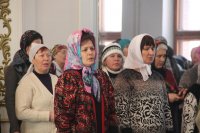 IMG_2365