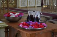 IMG_0392