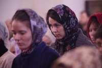 IMG_3534