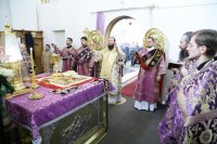 IMG_6495