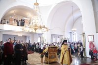IMG_4557