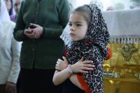 IMG_0619