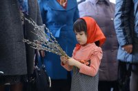 IMG_1185