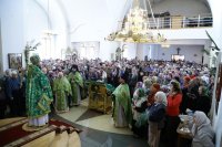 IMG_1401