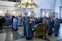 IMG_1887