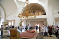 IMG_6582