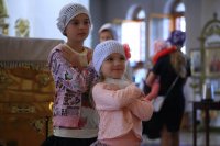 IMG_6810