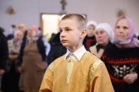 IMG_3930