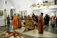 IMG_6681