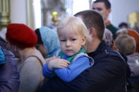 IMG_7948