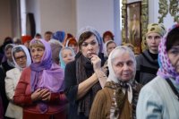 IMG_7969