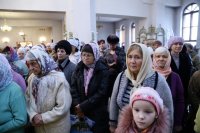 IMG_7990