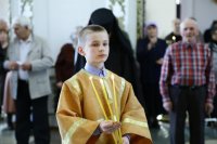 IMG_3004