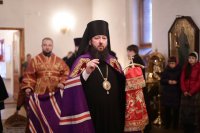 IMG_8191