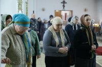IMG_7567