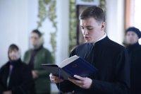 IMG_3795