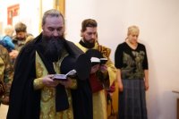 IMG_9482