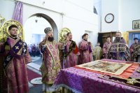 IMG_8104