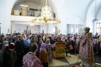 IMG_8247